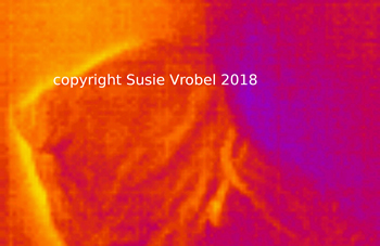 susie vrobel warm spectrum